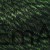 13957:2.jpeg